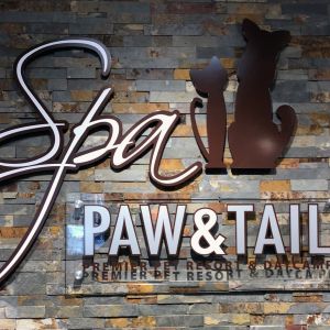Paw & Tail Pet Resort and Spa Reception Sign - New Berlin, WI