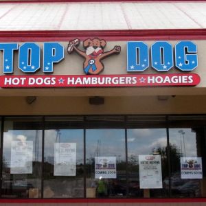 Top Dog Restaurant Channel Letters 