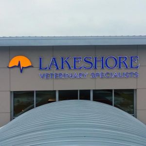 Lakeshore Veterinary Specialists Channel Letters